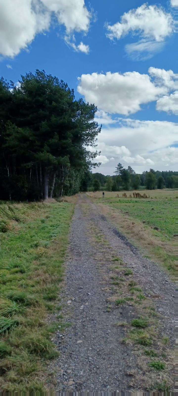 Field path